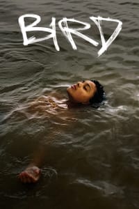 Poster for the movie "Bird"